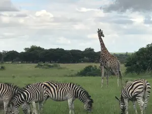 Haka Game Park