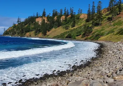 Ball Bay