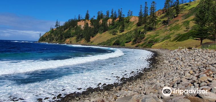 Ball Bay