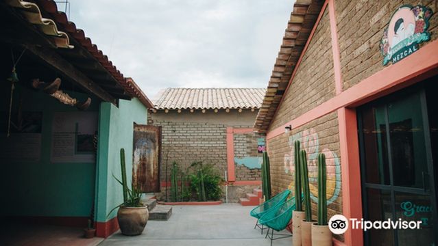 Gracias a Dios Mezcal