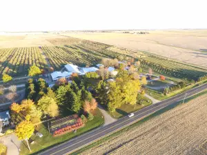 Curtis Orchard & Pumpkin Patch