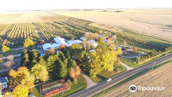 Curtis Orchard & Pumpkin Patch