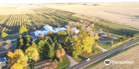Curtis Orchard & Pumpkin Patch