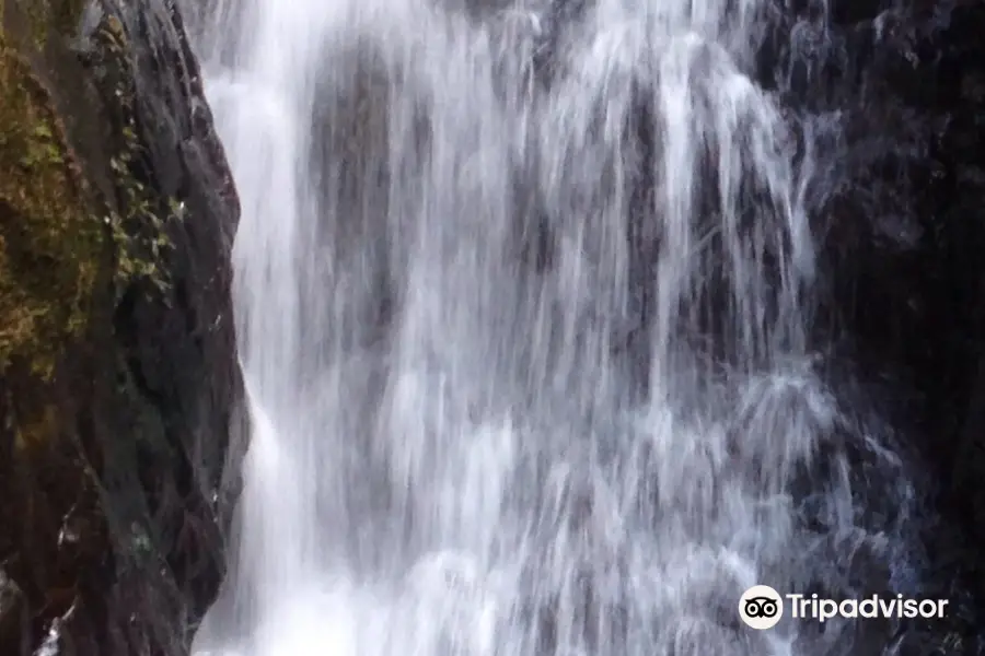 Chagres National Park