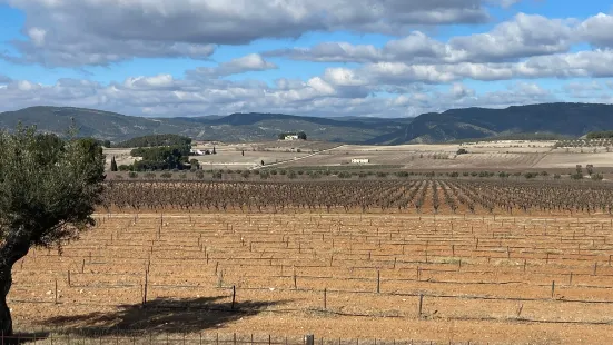 Bodegas Celler del Roure