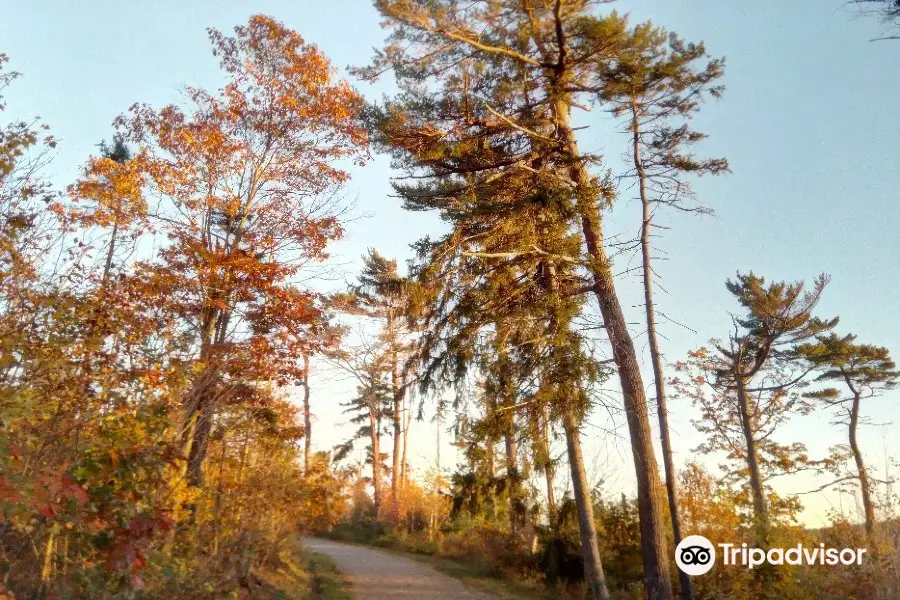 Point Pleasant Park