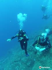 Blue Reef Diving Center