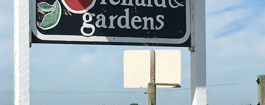 Bridgewater Township
