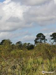 Sheraton Scrub Preserve