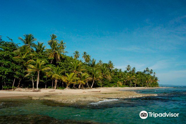 Puerto ViejoDay tours