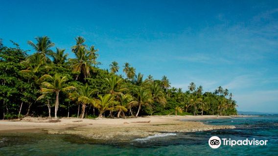 La Feria Legendaria de Playa Chiquita