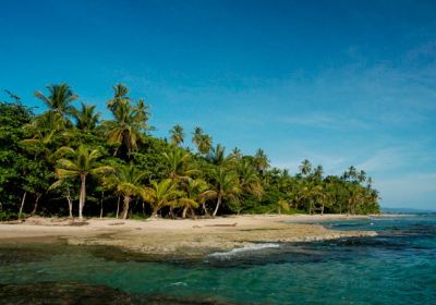 Puerto Viejo de Talamanca