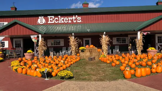 Eckert's Orchard