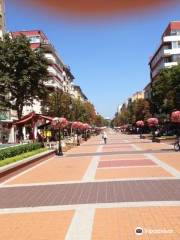Vitosha Boulevard