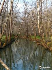 Hays Nature Preserve