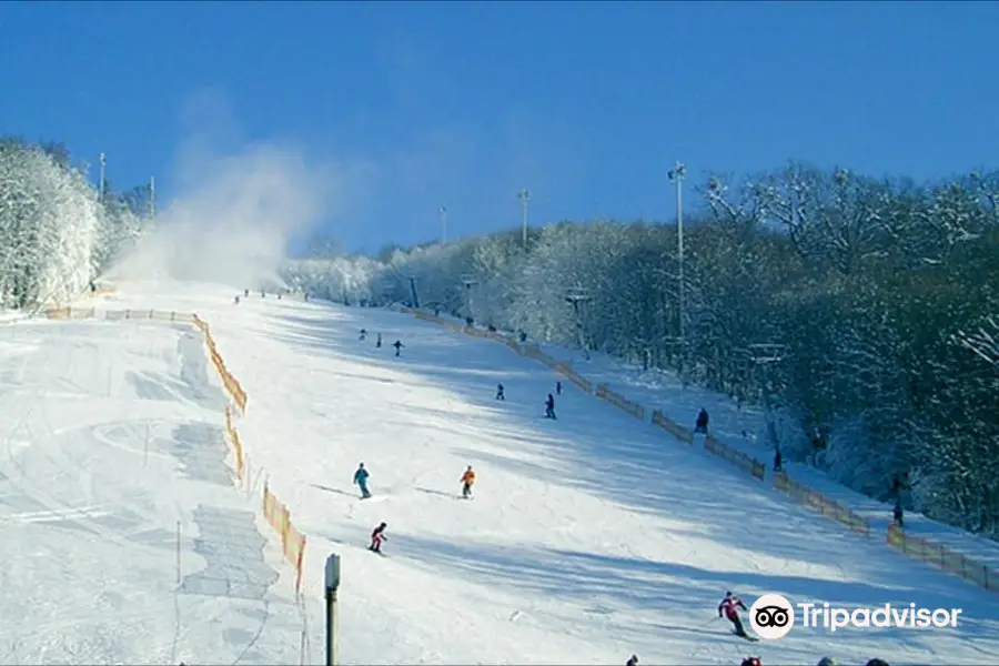 Hohe Wand Wiese