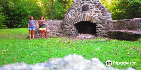 Thorncrag Bird Sanctuary