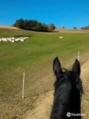 Turismo Equestre "La Mura"