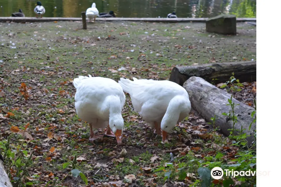 Tierpark Tannenbusch