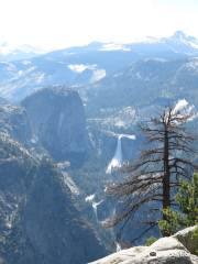 Liberty Cap