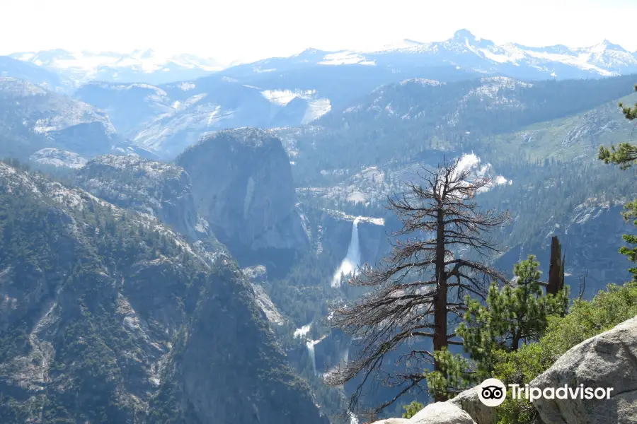 Liberty Cap