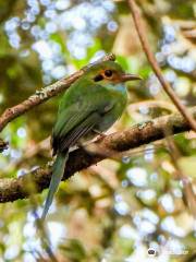 Huitepec Ecological Reserve