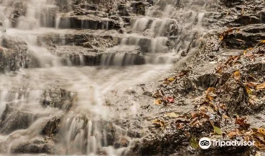 Hermitage Falls