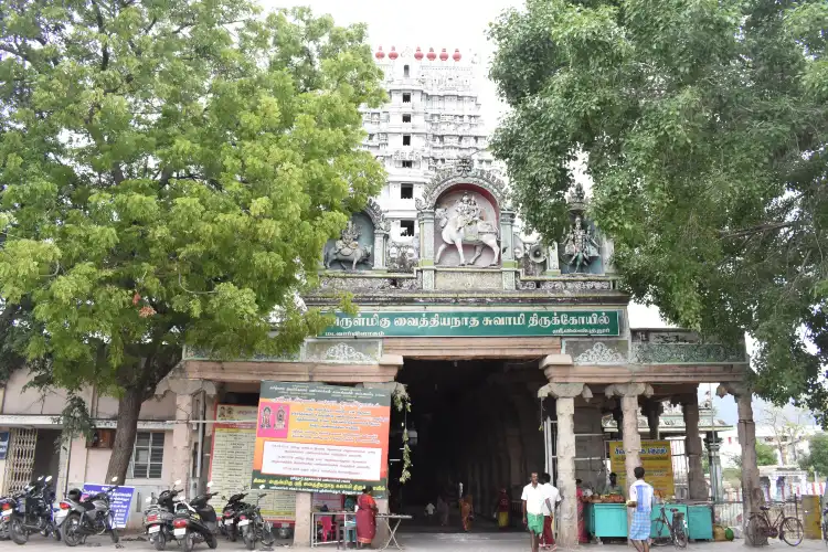 Hotels in Rajapalayam