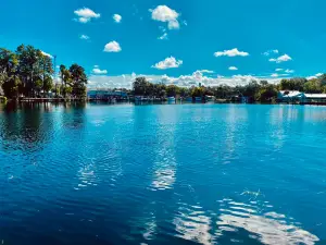 Captain Mike's Swimming with Manatees