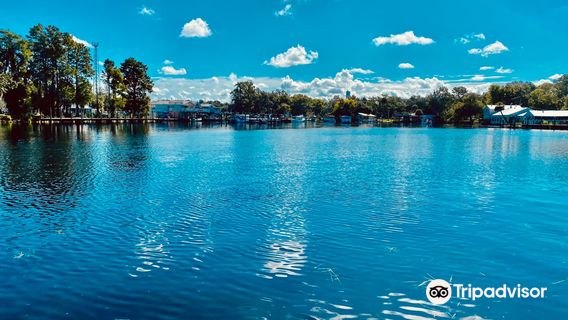 Waterfront Adventures: Swimming with the Manatees