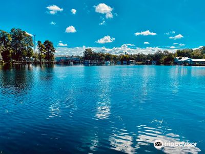 Paddletail Waterfront Adventures: Swimming With the Manatees