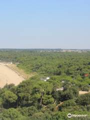 The Estuary Park