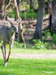 FAWN-DOE-ROSA Wildlife Educational Park