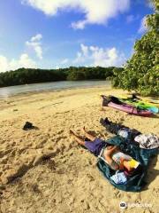 Maml Divers Palau & Peleliu