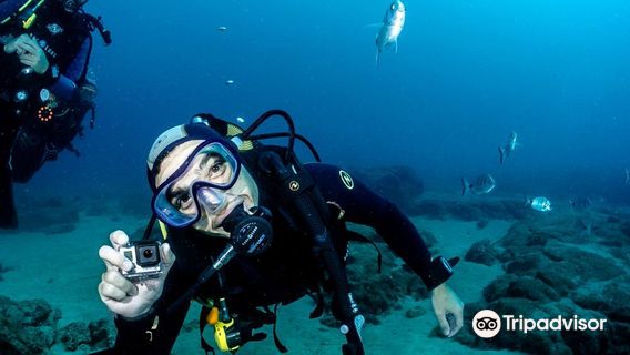 Lanzarote Ocean's Divers
