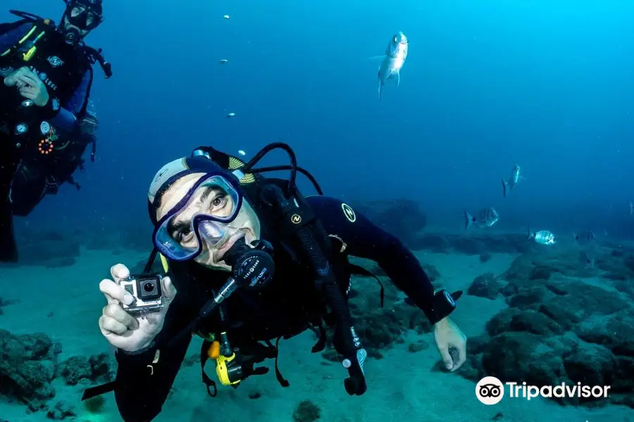 Lanzarote Ocean's Divers