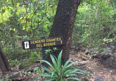 Lomas de Barbudal Biological Reserve