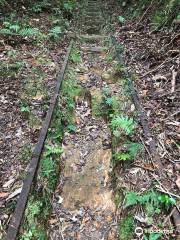 Waiorongomai Valley tramping tracks