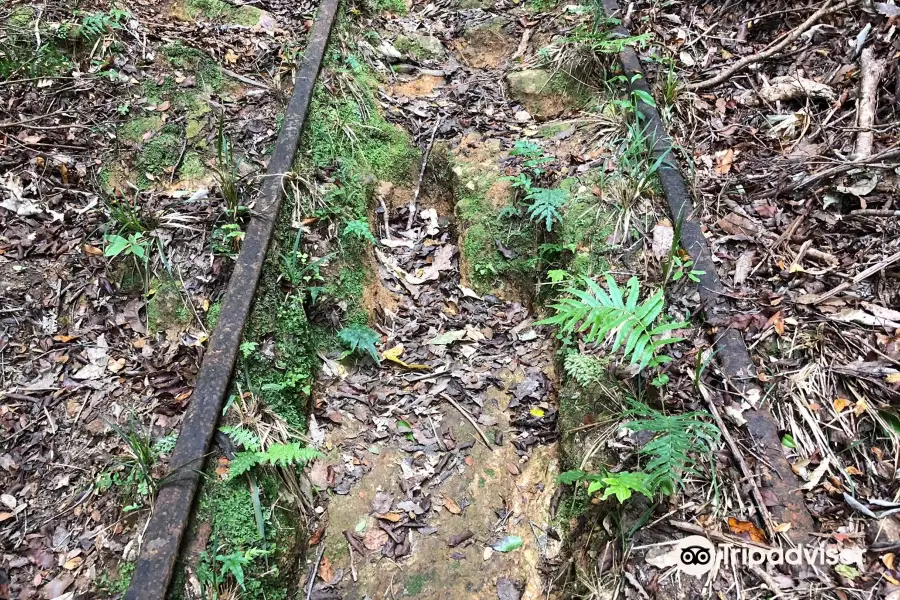 Waiorongomai Valley tramping tracks