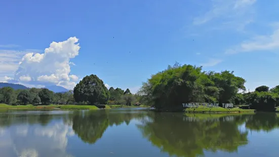 Taman Tasik Taiping