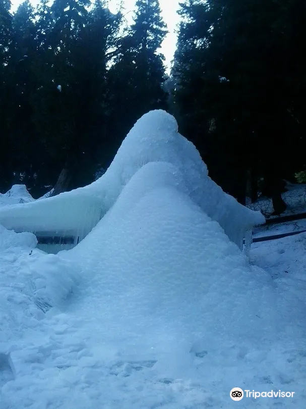 3_걸마그 와일드라이프 보호구역