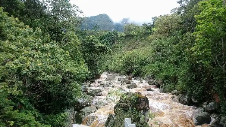Hotels in Pandi