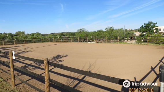 Tavira Horse Riding Quinta Beldade Stables