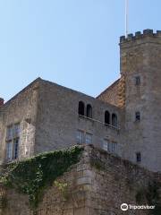 Castle of Tardes