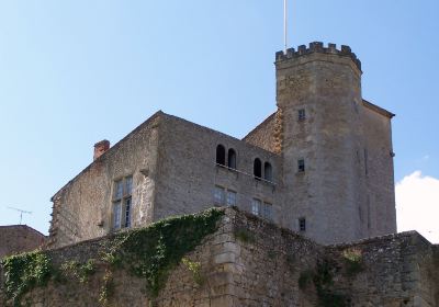 Castle of Tardes
