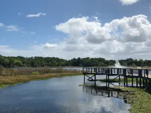 Cooter Pond Park