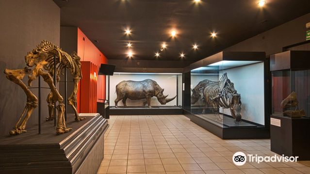 Muzeum Przyrodnicze Instytutu Systematyki i Ewolucji Zwierząt PAN