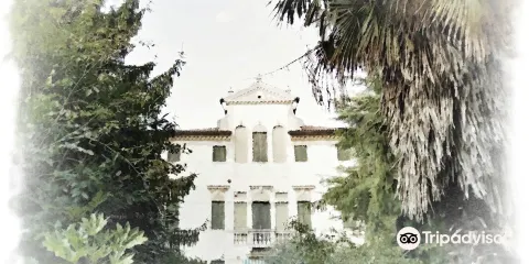 Villa Van Axel, detta 'Vanassel' di Mirano