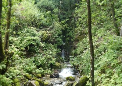 Parco Botanico del Gambaragno