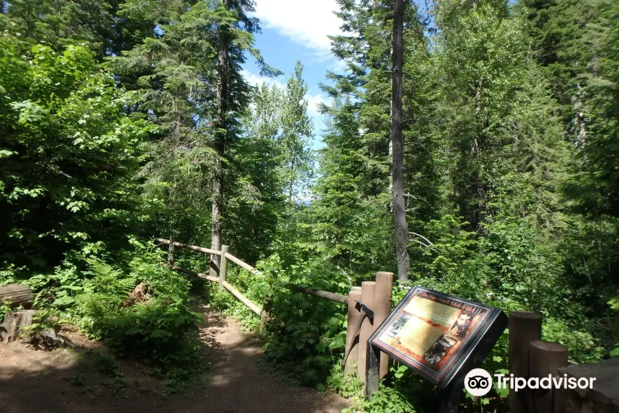 Pulaski Tunnel Trail